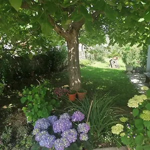 Apartman Vellico, Bale